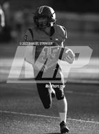 Photo from the gallery "Gustine @ Summerville"
