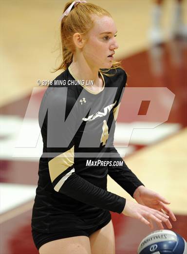 null - Photo 01