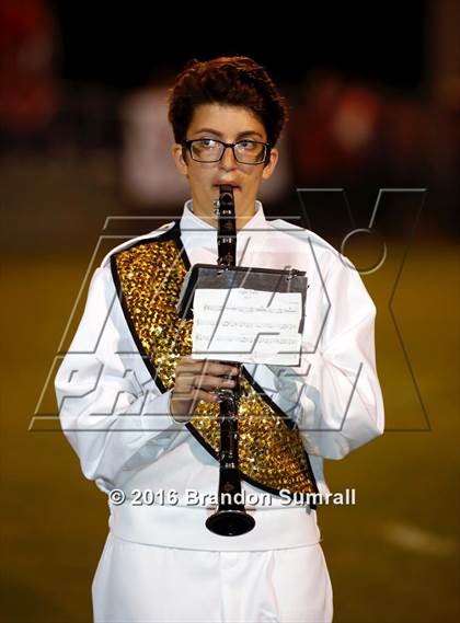 Thumbnail 3 in Verbena @ Isabella photogallery.