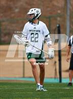 Photo from the gallery "Pope @ Westminster"