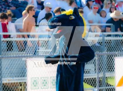 Thumbnail 2 in Dos Pueblos vs. Notre Dame (SO) (CIF-SS D3 Semi Final) photogallery.