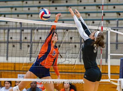 Thumbnail 2 in Clark @ Brandeis photogallery.