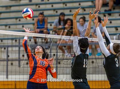 Thumbnail 2 in Clark @ Brandeis photogallery.