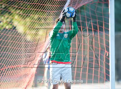 Thumbnail 2 in East vs West (Central Section All-Star) photogallery.