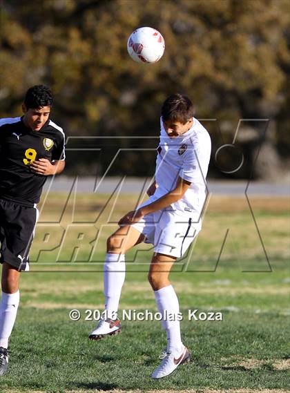 Thumbnail 2 in Harvard-Westlake vs. San Fernando (Hart Tournament) photogallery.