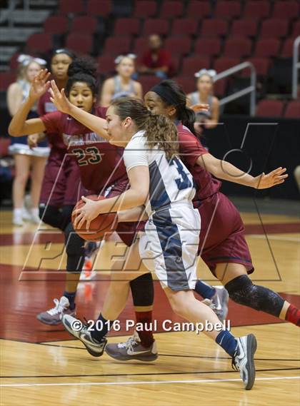 Thumbnail 3 in Sierra Linda vs Cactus Shadows (AIA D2 Semifinal) photogallery.