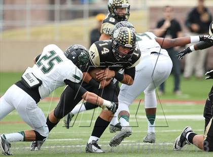 Thumbnail 1 in Cedar Park vs. Calhoun (UIL 4A Division 2 Regional Playoff) photogallery.
