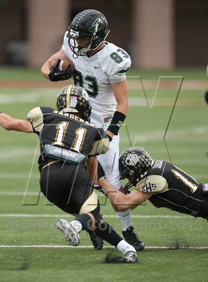 Thumbnail 1 in Cedar Park vs. Calhoun (UIL 4A Division 2 Regional Playoff) photogallery.