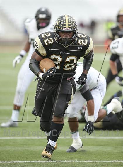 Thumbnail 3 in Cedar Park vs. Calhoun (UIL 4A Division 2 Regional Playoff) photogallery.