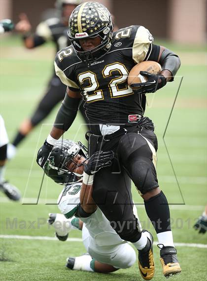 Thumbnail 2 in Cedar Park vs. Calhoun (UIL 4A Division 2 Regional Playoff) photogallery.