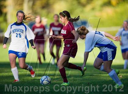 Thumbnail 3 in Dedham @ Norwood photogallery.