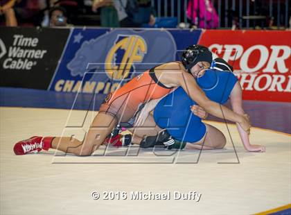 Thumbnail 2 in CIF State Girls Wrestling Championships (Finals) photogallery.
