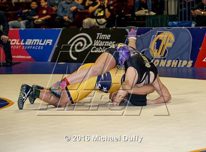 Thumbnail 1 in CIF State Girls Wrestling Championships (Finals) photogallery.
