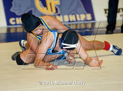 Thumbnail 3 in CIF State Girls Wrestling Championships (Finals) photogallery.