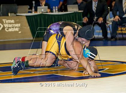 Thumbnail 1 in CIF State Girls Wrestling Championships (Finals) photogallery.