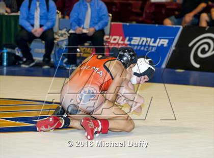 Thumbnail 1 in CIF State Girls Wrestling Championships (Finals) photogallery.