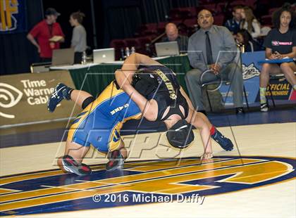 Thumbnail 2 in CIF State Girls Wrestling Championships (Finals) photogallery.