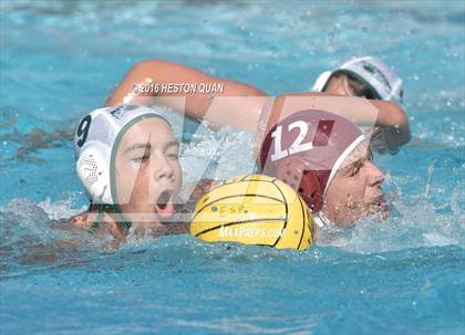 Thumbnail 3 in Poly @ Esperanza photogallery.