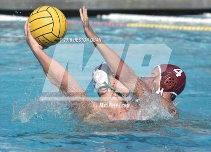 Thumbnail 3 in Poly @ Esperanza photogallery.