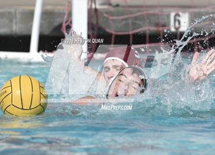 Thumbnail 2 in Poly @ Esperanza photogallery.