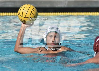 Thumbnail 1 in Poly @ Esperanza photogallery.