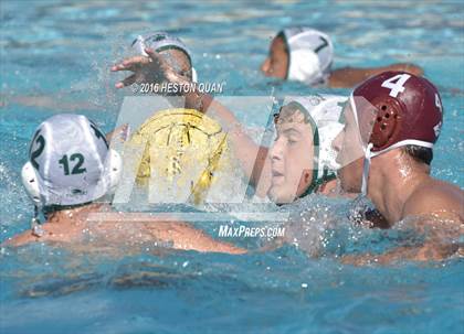 Thumbnail 3 in Poly @ Esperanza photogallery.