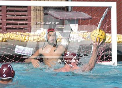 Thumbnail 3 in Poly @ Esperanza photogallery.