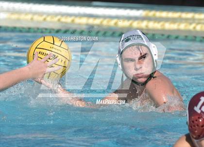 Thumbnail 2 in Poly @ Esperanza photogallery.