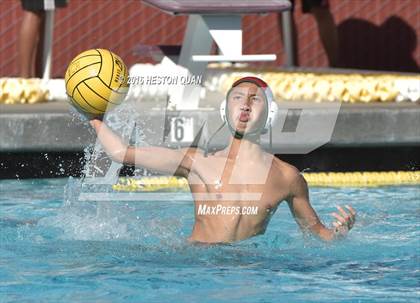 Thumbnail 3 in Poly @ Esperanza photogallery.