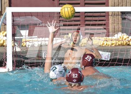 Thumbnail 2 in Poly @ Esperanza photogallery.