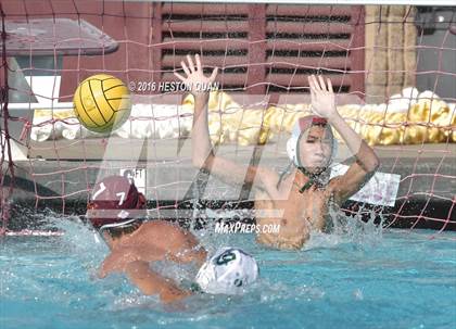 Thumbnail 3 in Poly @ Esperanza photogallery.
