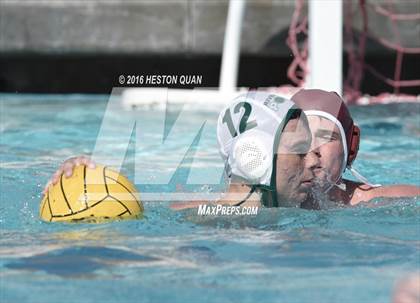 Thumbnail 3 in Poly @ Esperanza photogallery.