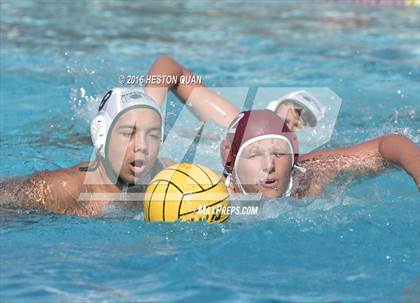 Thumbnail 1 in Poly @ Esperanza photogallery.