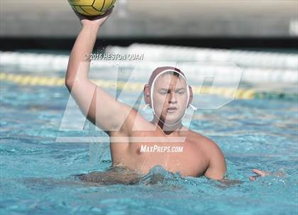 Thumbnail 1 in Poly @ Esperanza photogallery.