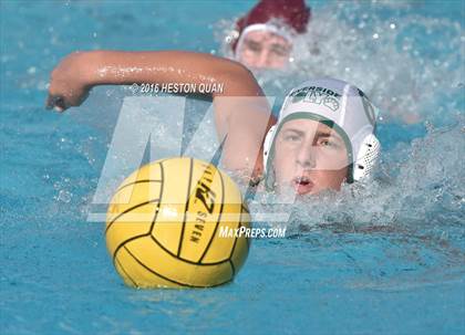 Thumbnail 3 in Poly @ Esperanza photogallery.