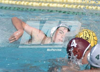 Thumbnail 2 in Poly @ Esperanza photogallery.