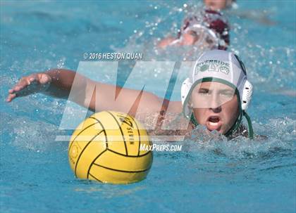 Thumbnail 1 in Poly @ Esperanza photogallery.