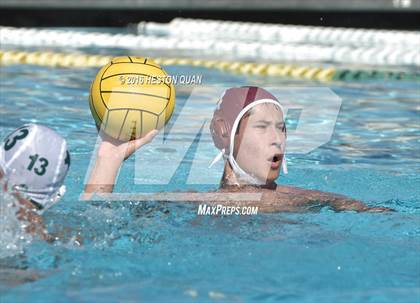 Thumbnail 1 in Poly @ Esperanza photogallery.