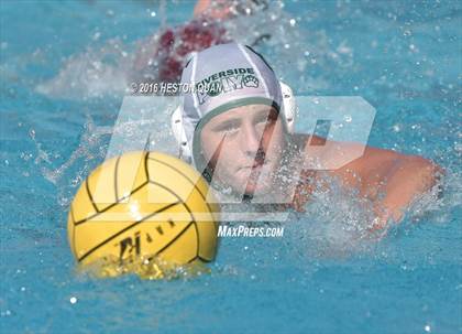 Thumbnail 2 in Poly @ Esperanza photogallery.
