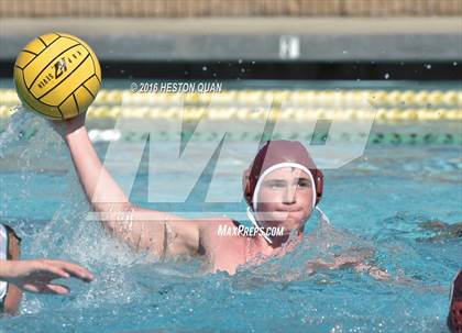 Thumbnail 2 in Poly @ Esperanza photogallery.
