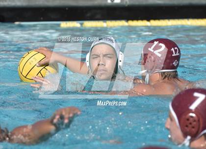 Thumbnail 3 in Poly @ Esperanza photogallery.
