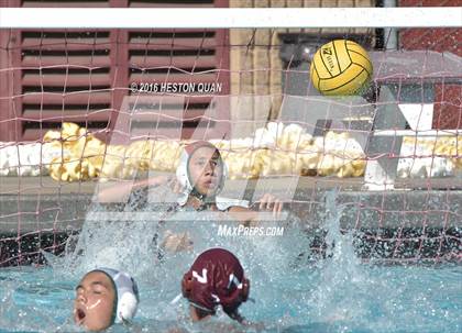 Thumbnail 3 in Poly @ Esperanza photogallery.