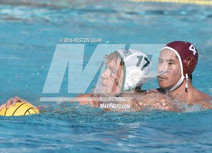 Thumbnail 2 in Poly @ Esperanza photogallery.