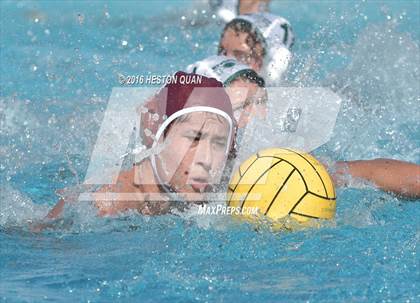 Thumbnail 3 in Poly @ Esperanza photogallery.