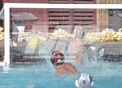 Thumbnail 2 in Poly @ Esperanza photogallery.