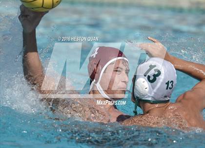 Thumbnail 1 in Poly @ Esperanza photogallery.