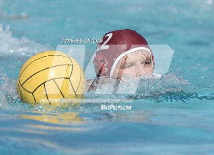 Thumbnail 3 in Poly @ Esperanza photogallery.