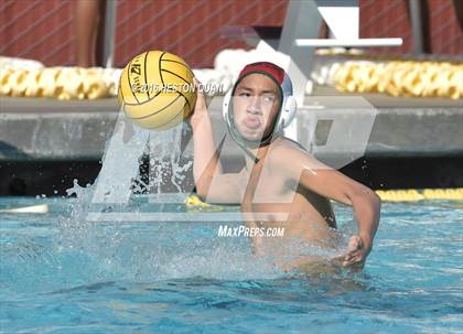 Thumbnail 2 in Poly @ Esperanza photogallery.