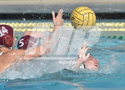Thumbnail 2 in Poly @ Esperanza photogallery.