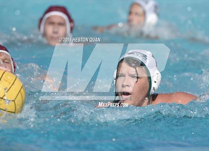 Thumbnail 1 in Poly @ Esperanza photogallery.